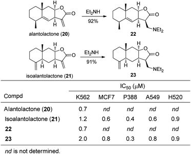 Structures and antiproliferative activities of diethylamino-adducts of alantolactone (20) and isoalantolactone (21).