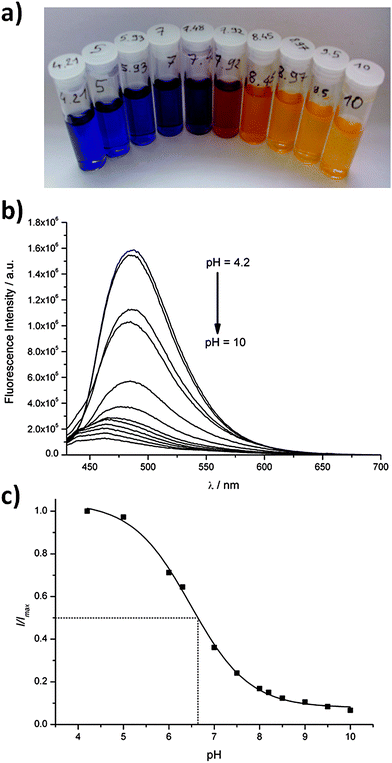(a) Colour change of 1 in potassium phosphate buffers (100 mM) at various pH values; (b) fluorescence emission spectra of dye 1 in potassium phosphate buffers (100 mM) at various pH values ranging from 4.2 to 10; (c) fluorescence emission intensities (I/Imax) of 1 as a function of pH recorded in potassium phosphate buffers (λexc = 400 nm, λem = 488 nm, [1] = 1 μM).