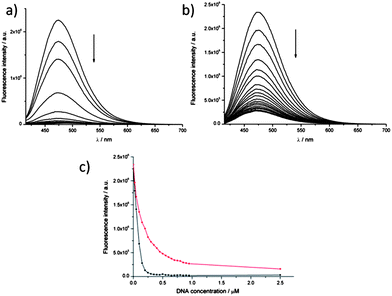 Fluorescence titration experiments: a solution of dye 1 (0.5 μM) was titrated with increasing concentrations of DNA (up to 1.25 μM, i.e. 2.5 equivalents). Emission spectra (λexc = 400 nm) were recorded for titration of either c-myc quadruplex (a) or double-stranded DNA (b). (c) shows a plot of the maximum fluorescence intensity (λexc = 400 nm, λem = 475 nm) as a function of DNA concentration: data for the c-myc quadruplex are shown in black and data for double-stranded DNA in red.
