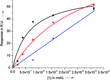SPR binding curves for dye 1 binding to the c-myc (black squares) and ckit2 (red circles) quadruplexes and to a 23bp duplex DNA (blue triangles). Dissociation constants (Kd) were obtained by fitting the experimental values of response at equilibrium (Req) as a function of ligand concentration (0–3.125 μM) using the steady state affinity algorithm (Biaevaluation 3.0.2).