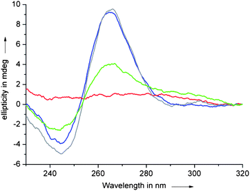 CD spectra of a solution of c-myc quadruplex (10 μM) in TRIS·HCl buffer (50 mM, pH 7.4) also containing 10 mM KCl recorded at 10 °C (blue) and 95 °C (red) and in the presence of 1 eq. of ligand 1 (10 μM) at 10 °C (grey) and 95 °C (green).