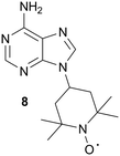 
          Adenine spin-labeled compound, 8.