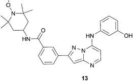 Structure of pyrazolopyrimidine kinase probe, 13.