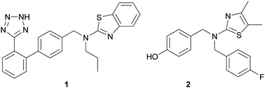 Allosteric JNK1 kinase inhibitors, 1 and 2.