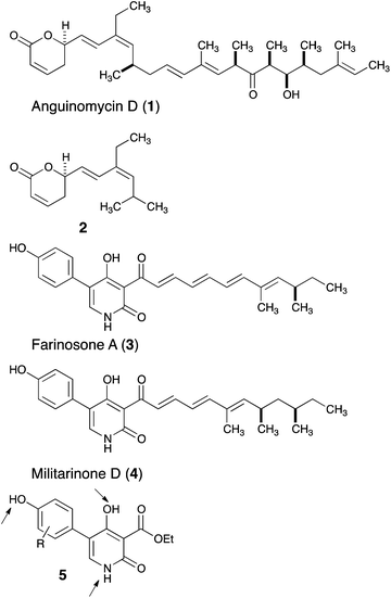 Natural products 1, 3 and 4 and their truncated analogs 2 and 5.