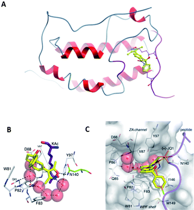 Compound 15 bound to BRD4(1). (A) Overlay of compound 15 (yellow, PDB ID: 4GPJ) with H4K5AcK8Ac (purple, PDB ID: 3UVW);1 (B) residues and conserved waters in BRD4(1) binding to compound 15; (C) surface view of BRD4(1) in the protein–ligand complex overlaid with (+)-JQ1 (orange, PDB ID: 3MXF).