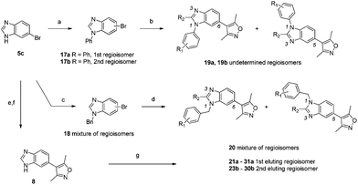 Synthesis of substituted benzimidazoles. Reagents and conditions: (a) PhI, KOH, TBAB, CuI, 110 °C 44% 17a and 22% 17b; (b) 3,5-dimethylisoxazolylboronic acid, Pd(dppf)Cl2, NaHCO3, DME, 120 °C, 50% (19a) or 26% (19b); (c) BnBr, K2CO3, MeCN, reflux, 52%; (d) 3,5-dimethylisoxazole, PdCl2, KOAc, N,N-dimethyl-acetamide, 120 °C, 52% (20); (e) Boc2O, TEA, CH2Cl2, 100%; (f) 3,5-dimethylisoxazolylboronic acid, Pd(PPh3)4, Na2CO3, 1,4-dioxane, reflux, 48%; (g) RBr, K2CO3, MeCN, reflux, 18–74%.