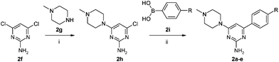 
          Reagents and conditions: (i) dichloromethane, N-ethyl-diisopropylamine, 20 °C, 16 h; (ii) dichloro[1,1′-bis(diphenylphosphino)ferrocene]palladium(ii) dichloromethane adduct, Cs2CO3, tetrahydrofuran, 1-methyl-2-pyrrolidinone, water, 100 °C, 16 h.