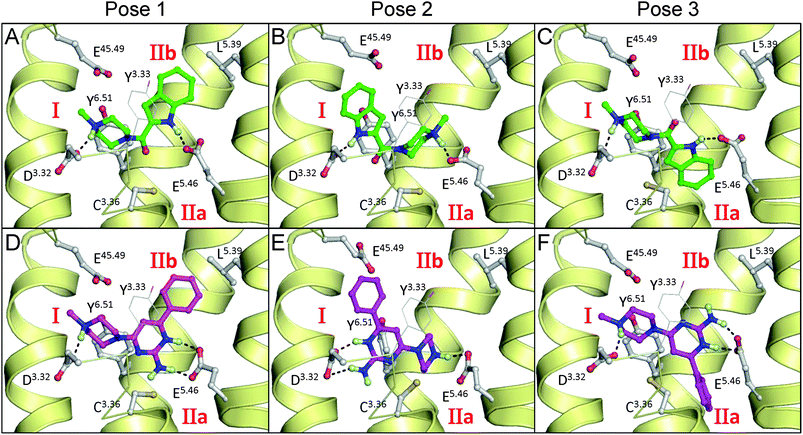 Initial binding poses of indolecarboxamide ligand 1a (A–C) and 2-aminopyrimidine ligand 2a (D–F) in H1R crystal structure based H4R models used as starting structures for MD simulations. Rendering and labels are the same as in Fig. 1.