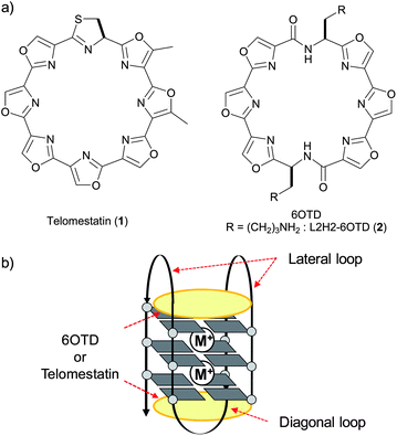 (a) Structures of telomestatin (1) and 6OTD; (b) their interaction modes with G4.