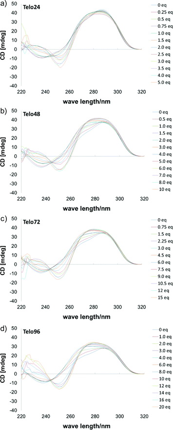 CD spectra of telomeric DNAs in the presence of KCl (100 mM) upon titration with 2, (a) telo24 (10 μM) + 2 (0–5 eq.), (b) telo48 (5 μM) + 2 (0–10 eq.), (c) telo72 (3.3 μM) + 2 (0–15 eq.) and (d) telo96 (2.5 μM) + 2 (0–20 eq.).