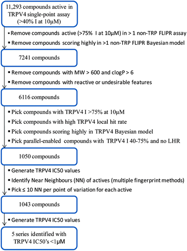 TRPV4 HTS triage workflow