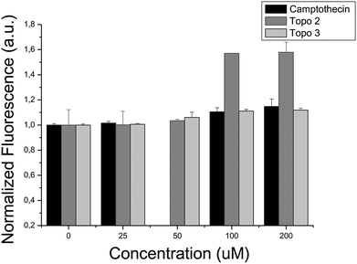 
          In vitro interaction between Topoisomerase I and: (i) camptothecin, (ii) compound Topo 2 and (iii) compound Topo 3. An increase in the fluorescence signal reflects the formation of DNA triplex and the presence of supercoiled DNA, inversely proportional to the Topoisomerase activity. Compounds Topo 2 and Topo 3 inhibit Topoisomerase activity, exhibiting IC50 values of 65.88 μM and 47.53 μM, respectively.