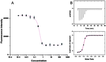 (A) Sample fluorescence intensity; (B) corresponding ITC trace obtained for binding of 7 to FAM-GpSGEGG.