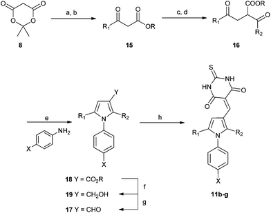 Synthesis of substituted diarylpyrroles 11b–g. Reagents and conditions: (a) pyridine, R1COCl, DCM, 0 °C; (b) EtOH, toluene, reflux; (c) CH2I2, Et2Zn, R2CHO DCM 0 °C; (d) PCC, DCM, R.T.; (e) TFA, TFE, MW, 150 °C or PTSA, toluene, Dean–Stark; (f) DIBAL-H, DCM, −78 °C; (g) TPAP, NMO, 4 Å MS, DCM, rt; (h) thiobarbituric acid, AcOH, 120 °C-rt.
