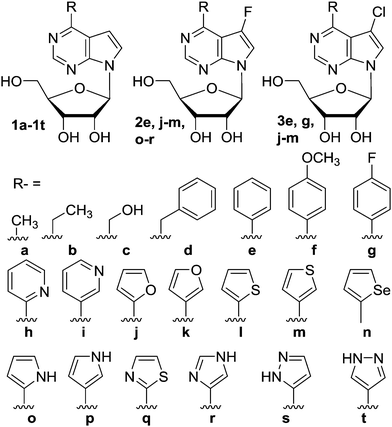 Structures of previously known nucleosides 1a–t.
