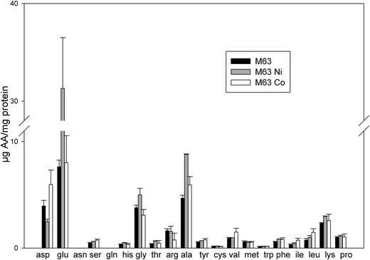 Concentrations of amino acids present in treated bacteria. The amount of amino acids was measured in whole cells after growth in 0.4% succinate M63 medium (black bars), in the same medium supplemented with 75 μM NiCl2 (grey bars) or 35 μM CoCl2 (white bars). The results are expressed in μg of amino acid per mg of total protein. Error bars indicate standard deviations.