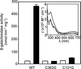 Expression from the coaT promoter in E. coli cells containing either pET3acoa or mutated variants (CoaR C363G and C121G), cultured in the absence (open bars) or presence (closed bars) of 100 μM CoCl2. Data are means of triplicate assays with standard deviation. Inset shows apo-subtracted difference spectra following addition of Co(ii) (two molar equivalents) to C363G CoaR (8.6 μM) (dotted line), C121G CoaR (9.5 μM) (dashed line) and wild-type CoaR (9.5 μM) (solid line).