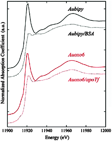 Relevant changes in the oxidation states of 29 auoxo6 and 28 aubipy compared with their respective protein adducts are shown by XANES spectra. Reprinted (adapted) with permission from L. Messori, A. Balerna, I. Ascone, C. Castellano, C. Gabbiani, A. Casini, C. Marchioni, G. Jaouen, and A. C. Castellano, J. Biol. Inorg. Chem., 2010, 16, 491–499. With kind permission from Springer Science and Business Media. Copyright 2010.