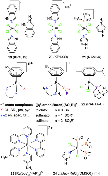 Top: the Ru anti-cancer drugs indazolium-trans-[tetrachlorobis(indazole)ruthenate(iii)] (19, KP1019), sodium-trans-[tetrachlorobis(indazole)ruthenate(iii)] (20, KP1339), and imidazolium trans-[imidazoledimethyl-sulfoxide-tetrachlororuthenate] (21, NAMI-A). Center: the general formula of η6-arene complexes, the η6-arene thiophenolate complex [(η6-arene)Ru(en)(SOnR)]+, and [Ru(η6-p-cymene)Cl2(pta)] (22, RAPTA-C, pta = 1,3,5-triaza-7-phosphatricyclo-[3.3.1.1]decanephosphine). Bottom: the photoactive bipyridine complex [Ru(bpy)2(4AP)2]2+ (23, bpy = 2,2′-bipyridine, 4AP = 4-aminopyridine), and the Ru(ii) complex cis,fac-[dichlorobis(trisdimethylsulfoxide)imidazole-ruthenate(ii)] (24). en ethylenediamine, pyr pyridine, acac acetylacetonato.