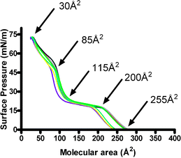 Surface pressure–area (π–A) isotherm data for compound 2. Transitions observed are 255, 200, 115, 85, and 30 Å2. Each line represents the result of a separate experiment; the superimposition indicates the reproducibility.
