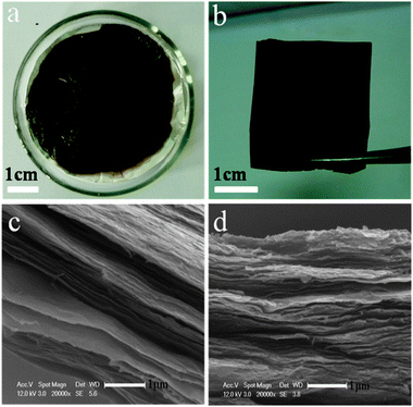 Photographs of the GO/Al film deposited on the matte surface of the Al foil after drying at 50–60 °C for 3 h (a), and the GO thin film peeled off from the Al foil (b). SEM images of the cross-sections of the GO/Al films with the GO concentration of 5.0 (c) and 10 mg mL−1 (d).