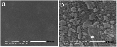 SEM images of the matte surface of the Al foil before (a), and after (b) being subjected to the GO membrane formation process at 50–60 °C for 3 h.