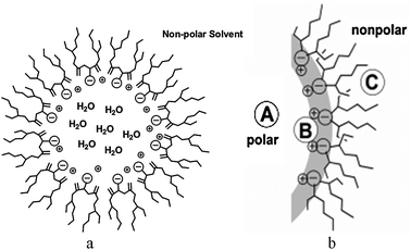Schematic illustration of AOT-derived reverse micelles.