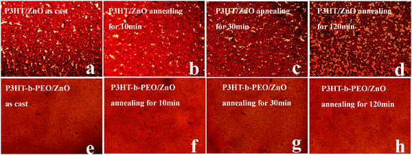 Optical microscopy images of P3HT/ZnO NP and P3HT-b-PEO/ZnO NP (1 : 2 wt%) blend films under various thermal annealing times at 120 °C.