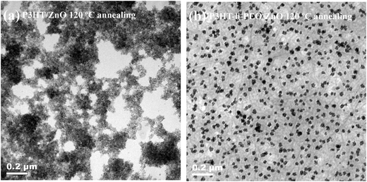 TEM images of (a) P3HT/ZnO nanoparticle blend films annealed at 120 °C and (b) P3HT-b-PEO/ZnO nanoparticles blend films annealed at 120 °C.