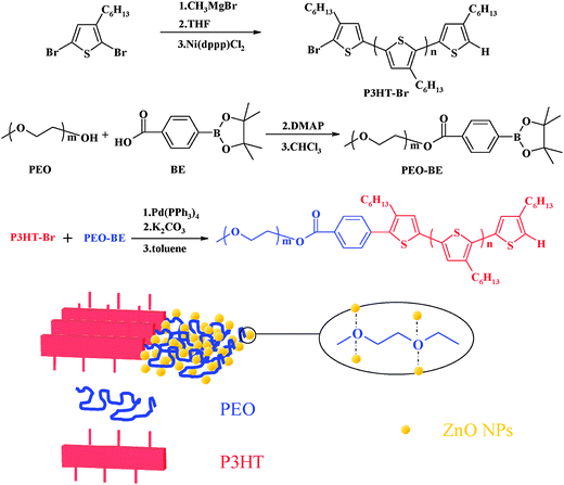 Synthesis of the P3HT-b-PEO block copolymer.