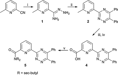 Synthesis of 1,2,4-triazine–picolinamide donor arm. (i) hydrazine–hydrate; (ii) benzil, EtOH; (iii) SeO2, 1,4-dioxane; (iv) AgNO3, NaOH, H2O/THF; (v) HNCH2CH(CH3)2, DMAP, CHCl3.