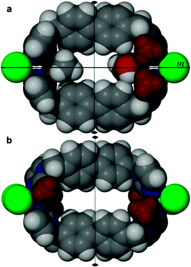Van der Waals projections of [M2L2Cl4]·2MeOH (M = Co or Zn) showing the conformation of metallocycles (a) as grown from solution and (b) [M2L2Cl4] after desolvation. Molecules are viewed perpendicular to the (100) plane and methyl groups of the 2-methylimidazole moieties are shown in dark red for clarity. Loss of the horizontal mirror plane upon desolvation is illustrated.