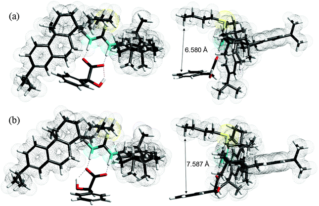 Optimised structures for (a) [2c][(S)-3a] and (b) [2c][(R)-3a]. Each host–guest pair is illustrated by two different views, the left one emphasising the importance of hydrogen bonding, the right one emphasising the resulting distances between the butyl side chain from the host, [2c]+, and the phenyl group from the guest, [3a]−. The geometries were optimised at the RB3LYP/STO-3G level using Gaussian® 98 (Gaussian Inc.).28