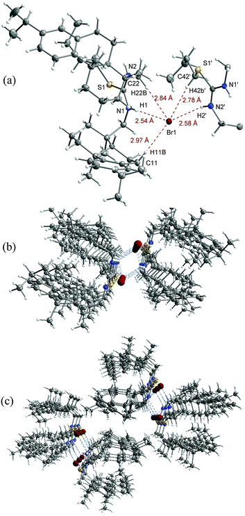 The crystal structure of [2c]Br: (a) hydrogen-bonding interactions of the bromide anion with two adjacent [2c]+ cations (part of one of the [2c]+ cations was omitted for clarity); (b) a perspective view of the anion channel; (c) a perspective view of the cation channel. The prime (') character in atom labels indicates that these atoms are at equivalent positions (−x, −1/2 + y, −z).