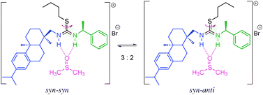 An illustration of the isomers (syn–syn : syn–anti 3 : 2) present in a solution of [2b]Br in DMSO-d6 (pink) which are distinguishable by 1H NMR spectroscopy. Blue and green indicate different environments for the N–H groups. The stereochemistry of the isomers was assigned with respect to the dehydroabietyl group.