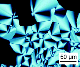 Polarized optical microscopic image of 1a in the columnar phase at 25 °C.