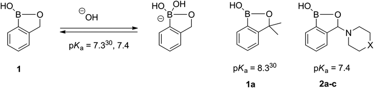 The acid–base equilibrium and pKa values of benzoxaboroles.