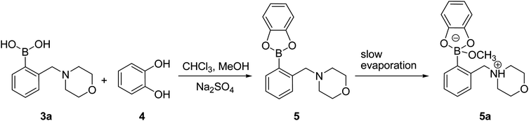Synthesis of 5a.
