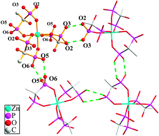 The connectivity of hydrogen bonds for compound 4. All hydrogen atoms except for the hydrogen bonds are omitted for clarity.