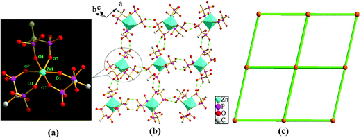 (a) View of the {Zn(hedpH2)3}4− cluster unit. (b) View of 2D crystalline framework and O–H⋯O hydrogen bonds (green dotted lines) in 4. (c) Illustration of the (4, 4) 2D network structure (polyhedral representation of the structure of ZnO6).