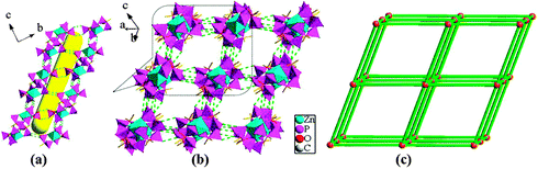 (a) The channel of compound 4 along the a axis. (b) Side view of the three-dimensional supramolecular network connected by hydrogen bonds. All H atoms, Hdma+ cations, Htma+ cations and solvate water molecules are omitted for clarity (green dotted lines). (c) Topological structure of compound 4.