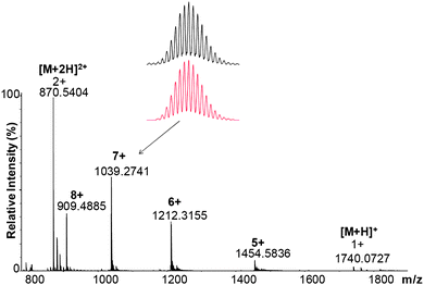 The MS spectrum of the [AD]-NHOH peptide and its complex with copper(ii) ions.