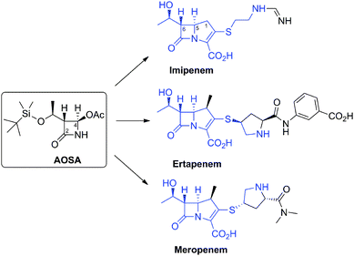 Examples of clinically used carbapenems and the common intermediate used in their preparation, (3R,4R)-4-acetoxy-3-[(R)-1-(tert-butyldimethylsilyloxy)ethyl]azetidin-2-one (AOSA). The part of skeleton corresponding to that of thienamycin is in blue.