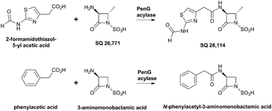 A penicillin G acylase from E. coli catalyses the acylation of 3-amino-monobactamic acid and its 4-methyl derivative.604