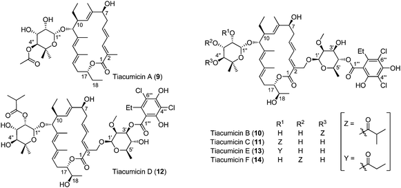 The structure of tiacumicins.