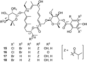 The structure of brominated tiacumicins.