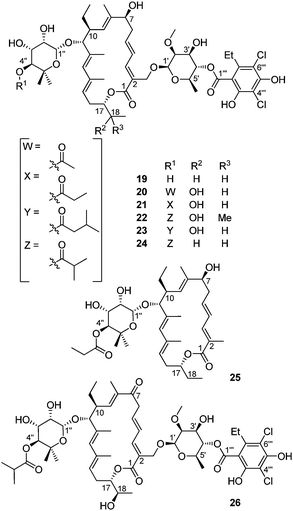 The structure of tiacumicin analogs.