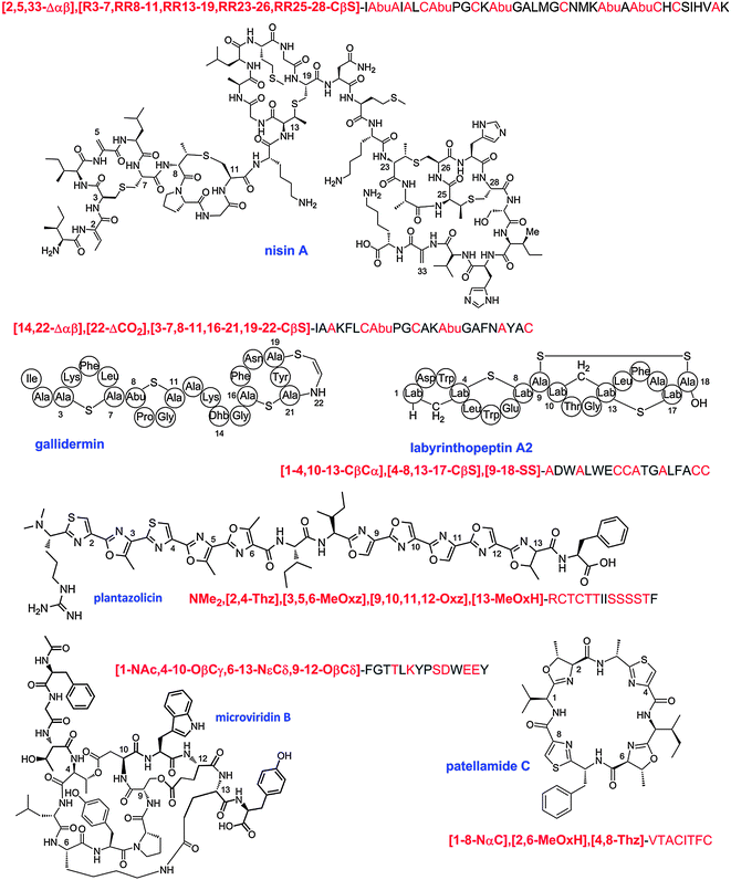 
          Select examples of the linear description of RiPPs. The linear description is shown above each chemical structure. The 3–4 character descriptors are shown in bold red font, the amino acids to which they refer are shown in non-bold red font. Abu, 2-aminobutyric acid.