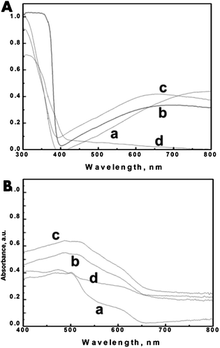 The absorbance spectra of (A, a) T_NT, (A, b) T_NT–T_NP, (A, c) T_NT–ZnO, and (A, d) T_NT–H2O2 and (B, a) T_NT–CdSe, (B, b) T_NT–T_NP–CdSe, (B, c) T_NT–ZnO–CdSe, and (B, d) T_NT–H2O2–CdSe.